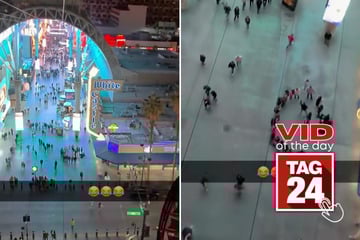 Viral Video of the Day for February 9, 2026: Man faints twice while ziplining over Las Vegas Strip