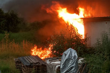 Inferno im Hühnerstall: 16 Tiere sterben bei Brand