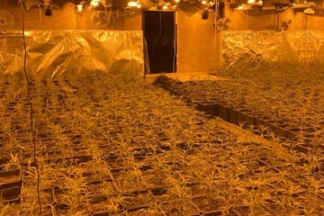 Razzia ein voller Erfolg: Polizei gelingt schwerer Schlag gegen Cannabis-Bande