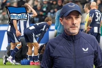 Hertha-Coach Leitl muss umplanen: Kriegt dieser Neuzugang jetzt seine Chance?
