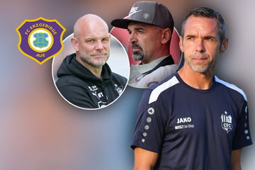 Trainerfrage in Aue: Übernimmt Christian Tiffert den FCE im Sommer?