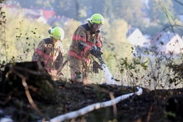 Nach Waldbrand in Sachsen: Feuerwehr sucht nach Glutnestern