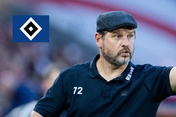 Boldts letzte Patrone! Steffen Baumgart neuer HSV-Trainer