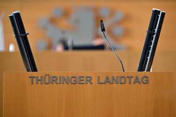 Um Prüfung gebeten: Linke-Fraktion hält dieses Vorhaben für Steuergeld-Verschwendung