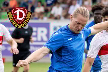 Dynamo-Dresden-Blog: SGD jagt Sturmtalent von Bundesliga-Klub