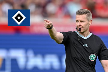 HSV-Blog: Dieser Schiri pfeift die Rothosen bei der Hertha