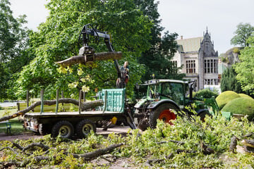 Knapp 50 Bäume umgestürzt: Schlosspark Altenstein nach Unwetter weiter gesperrt