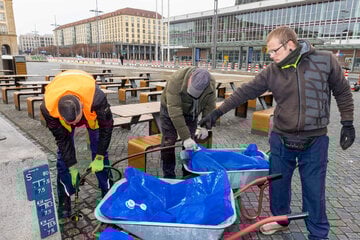 Dresden: Schubkarre statt Absturz: Wie Dresdens "Chancenlose" der Stadt helfen