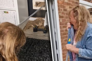 Frau hört seltsame Geräusche aus Wand: Was sie dann entdeckt, hat sie nicht erwartet