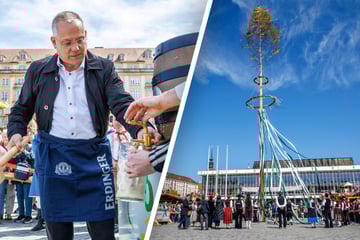 Dresden: Die Striezeltanne des Sommers: Maibaum wacht wieder über dem Altmarkt