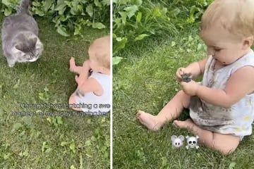 Mutter denkt, sie filmt niedlichen Moment zwischen Katze und Baby - bis sie einen Blick auf die Hände des Kindes wirft