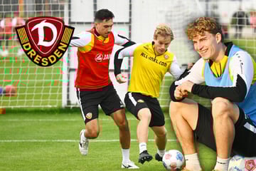 Aufgeblähter Dynamo-Kader: Welche Spieler verlassen Dresden jetzt noch?