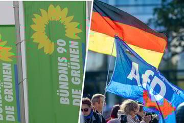 Wähler von AfD und Grünen: Studie offenbart undemokratische Gemeinsamkeit