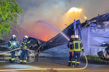Nächtlicher Großbrand bei Offenburg: Arbeitskräfte retten sich aus brennender Halle