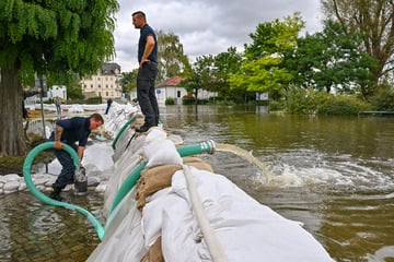 Hochwasser-Alarm in Oder-Region: Erste Sickerstellen an Deichen