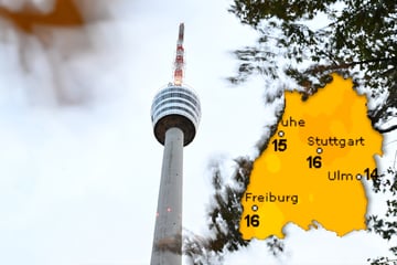 Erst Wind, dann Regen? Das erwartet Baden-Württemberger am Wochenende!