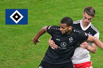 HSV empfängt Stuttgart: In anderthalb Jahren ist viel passiert