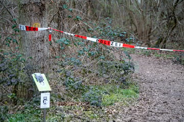 Bewusstlos im Wald gefunden: 36-Jährige inzwischen verstorben - Kripo rätselt weiter