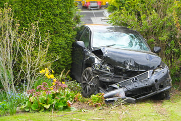 Blankes Chaos in sächsischem Vorgarten: Lexus rast durch Hecke, Fahrer spurlos verschwunden