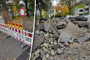 Sperrung in Dresden: Hier muss die Straße erneuert werden