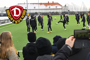 Dynamo-Dresden-Blog: SGD streicht vorm Cottbus-Kracher das öffentliche Training