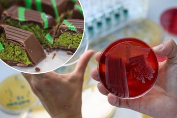 Blei im Zimt und Glycerin im Slush-Eis: Mehr als jede siebte Lebensmittelprobe weist Mängel auf