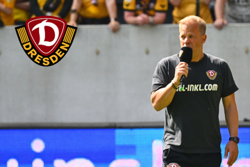 Dynamo-Trainer Anfang zieht Bilanz: Aufstieg scheiterte an Hinrunde - und Chancenverwertung!