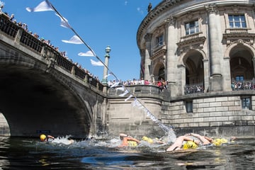 Berlin: Schwimmen gegen Schwimmverbot: Verein will ab jetzt regelmäßig in die Spree springen