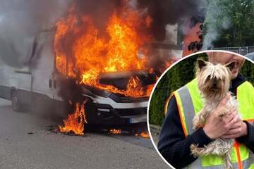 Hund durch brennenden Transporter in Lebensgefahr: Polizist zögert keine Sekunde