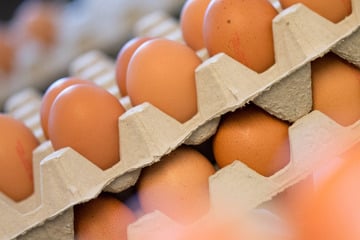 Ausgerechnet vor Ostern: Dem Ländle fehlen massenhaft Eier!