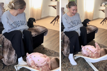Dog hilariously demands attention as owners dote over new baby
