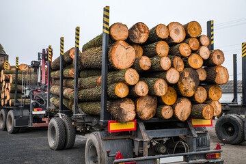 Mit Holz beladener Lkw rutscht Hang hinunter: Bergung wird zum Kraftakt