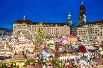 Exzellenz vom Striezelmarkt ist besiegelt