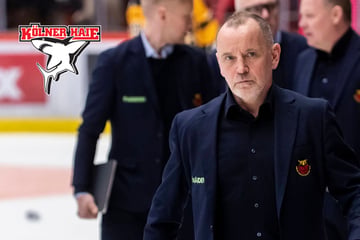 Kölner Haie haben Nachfolger für Jalonen gefunden: Berglund wird neuer Cheftrainer beim KEC