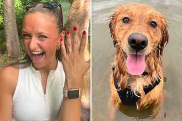 Dog hysterically hijacks his humans' wedding proposal: "How do I make this about me?"