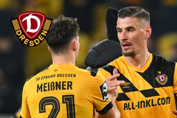 Spiele "von hinten heraus lenken": Joker für Dynamo-Coach Stamm wichtiger als Startelf!