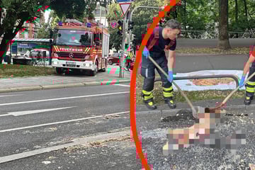 München: Ekel-Alarm! Was hier auf der Straße liegt, bringt die Feuerwehr an Grenzen