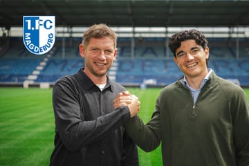 Nächster Neuzugang: FCM holt Ex-Wolfsburger an die Elbe