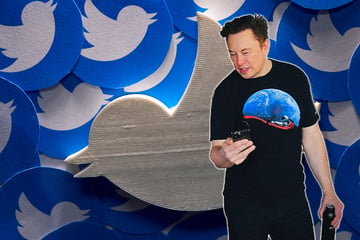 Elon Musk: Twitter tricks: Elon Musk explains how to turn off the algorithm