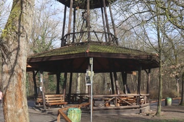 Ermittlungen nach Leichenfund in Mannheimer Wald: Wurde die Frau umgebracht?