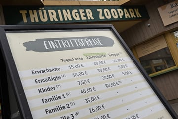 Futter, Wasser, Strom: Thüringer Zoos leiden stark unter steigenden Kosten
