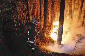 Hitzewelle in NRW: Waldbrandgefahr steigt
