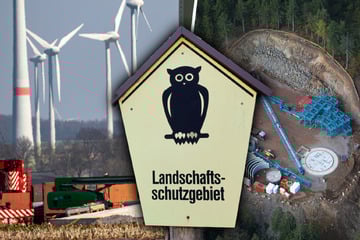 Bedenkliche Windkraft-Pläne: Wird Sachsens Landschaft drastisch verändert?