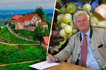 Prunkvolles Wessi-Schloss gekauft: Weinprinz zur Lippe will Wackerbarth-Erfolg wiederholen