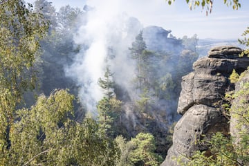 Nach Waldbrand am Pfaffenstein: Polizei ermittelt gegen Klopapier-Zündler