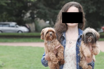 Sie machte mit Hunden ein kleines Vermögen: Bürgergeld-Empfängerin verurteilt