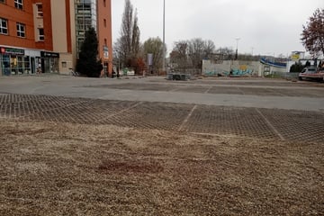 Nächster Schritt für Ersatzbrücke: Einschränkungen in der Halberstädter Straße