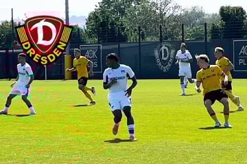 Dynamo-Dresden-Blog: SGD bezwingt Hertha BSC II