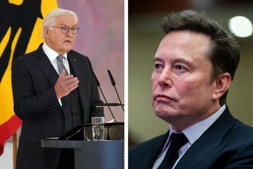 Elon Musk: Elon Musk lässt nicht locker: Steinmeier auf X als "Tyrann" bezeichnet