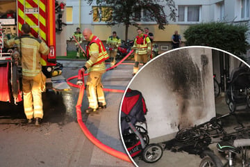 Dresden: Kellerbrand in Dresdner Hochhaus: Kinderwagen abgefackelt